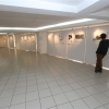 Türkan Saylan Alsancak Kültür Merkezi Sanat Galerisi