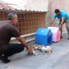 Can Dostlar Konak'ta Emin Ellerde