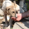 Can Dostlar Konak'ta Emin Ellerde