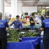 Konak’ta Pazarcılara HES Kodu Denetimi