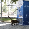 Can Dostlara MamaMatik Hizmeti