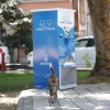 Can Dostlara MamaMatik Hizmeti