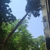 Konak Belediyesi ve AKUT’tan Ortak Operasyon