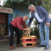 Konak’ın Kedileri Bu Kış Üşümeyecek