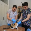Konak’taki Can Dostlar İçin Aşı Mesaisi