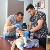 Konak’taki Can Dostlar İçin Aşı Mesaisi
