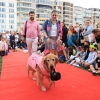 Patilerin Festivali, “Bu Gezegen Hepimizin” Dedi