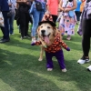 Patilerin Festivali, “Bu Gezegen Hepimizin” Dedi