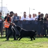 Patilerin Festivali, Konak’ı Renklendirdi