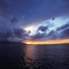 Fotoğraflarla İzmir