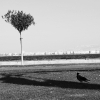 Fotoğraflarla İzmir