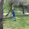 İğdeli Park ot temizliği çalışması