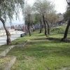 İğdeli Park ot temizliği çalışması