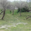 İğdeli Park ot temizliği çalışması