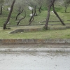 İğdeli Park ot temizliği çalışması