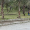 İğdeli Park ot temizliği çalışması