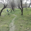 İğdeli Park ot temizliği çalışması