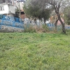 İğdeli Park ot temizliği çalışması