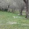 İğdeli Park ot temizliği çalışması