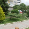Muhtelif Parklarımızdaki budama çalışmaları