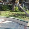 Boğaziçi Atatürk Parkı ot temizliği çalışması