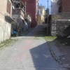 Halilrıfat Paşa Caddesi yol boyu ot temizliği çalışması