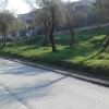 İğdeli Park ot temizliği çalışması