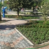 Muammer Yaşar Bostancı Parkı dikim çalışması