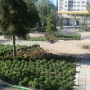 Muammer Yaşar Bostancı Parkı dikim çalışması