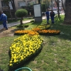 Tülay Aktaş Parkı mevsimlik dikimi ve düzenleme çalışması.