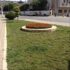 Süleyman Özçalışkan Parkı düzenleme çalışması