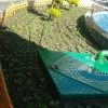Güzelyalı Fuat Göztepe Parkı havuz temizliği ve dikim çalışması