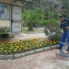 Adile Naşit Parkı dikim çalışması