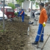 Güneşli Mahallesi 529-1 Sokak Yeşil Alan dikim çalışması