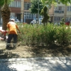 Piri Reis Parkı çapalama ve dikim çalışması