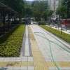 Teğmen Ali Rıza Akıncı Parkı dikim çalışması