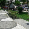 Güzelyalı Mahallesi Fuat Göztepe Parkı düzenleme ve dikim çalışması