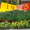 Güzelyalı (Fuat Göztepe ) Parkı ve Muhtarlık önü dikim çalışması