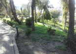 Boğaziçi Atatürk Parkı ot temizliği çalışması