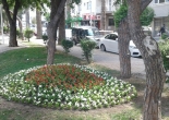 Gazeteci H. Süleyman Alasya Parkı mevsimlik çiçek dikimi