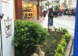 Türkan Saylan Kültür Merkezi Önü yeşil alan mevsimlik çiçek dikimi 