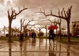 Fotoğraflarla İzmir