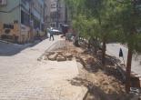 Murat Reis Mahallesi 199 Sokakta Yeşil Alan Düzenleme Çalışması