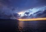 Fotoğraflarla İzmir