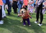 Patilerin Festivali, “Bu Gezegen Hepimizin” Dedi
