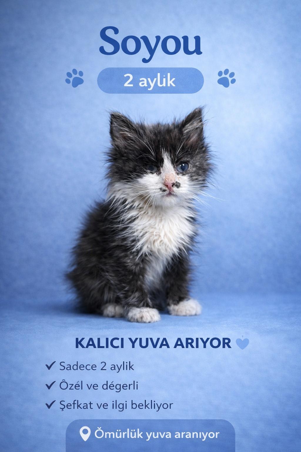 Merhaba, ben Soyou 🤍