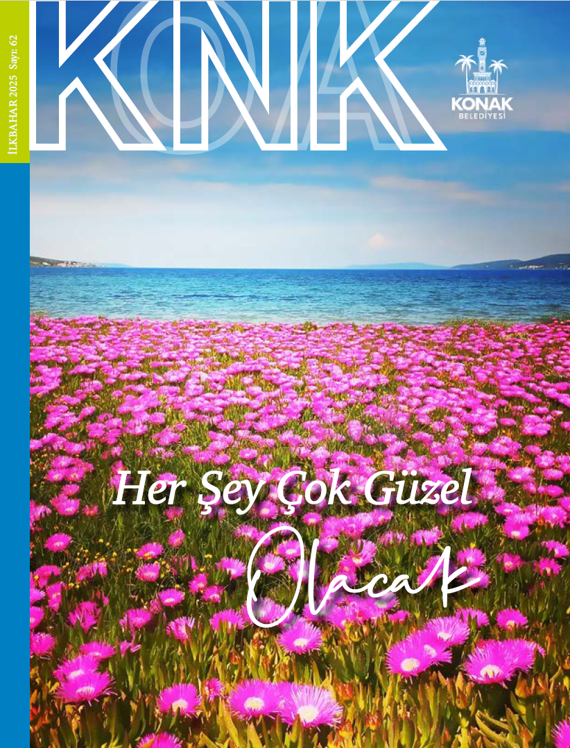 knk-dergi